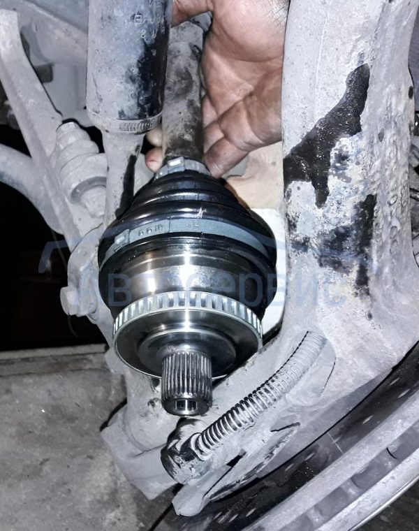 zam nar shr passat (2)